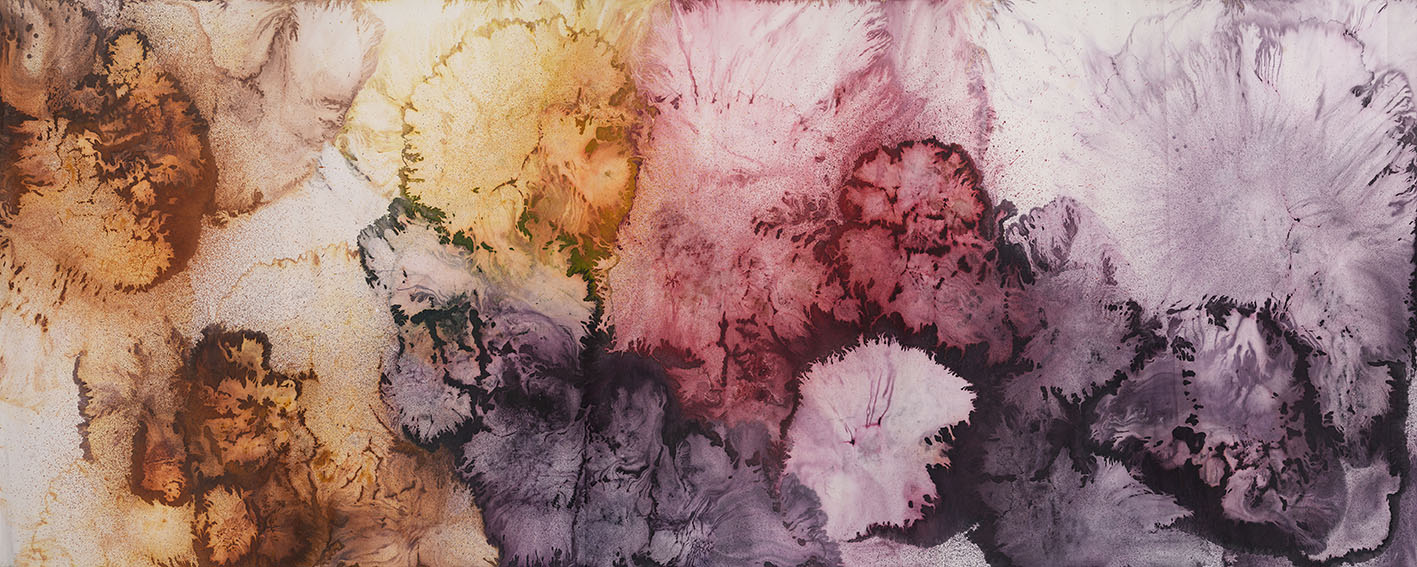 2x5m 2